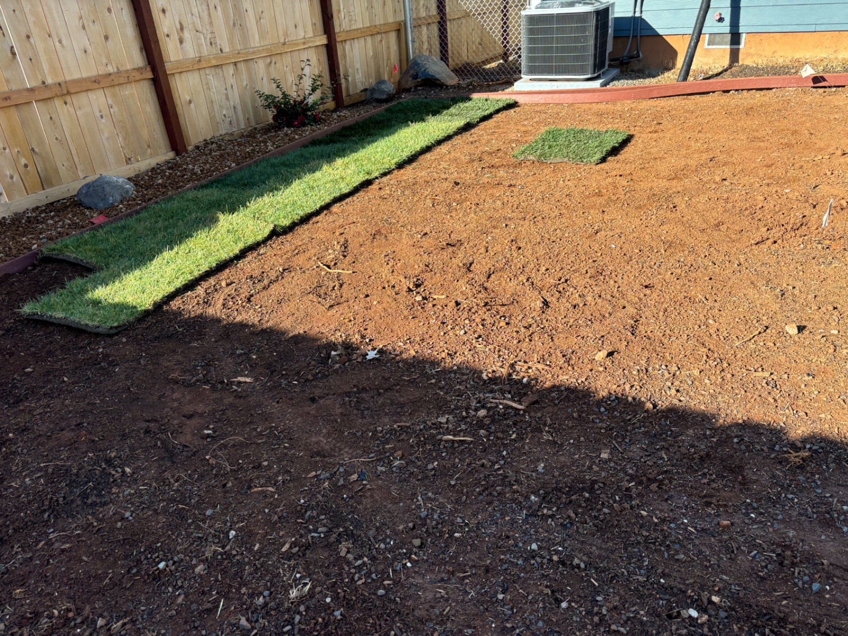 Fresh sod strips being laid over graded soil along a fence line
